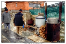 Zabijačkové vepřové hody